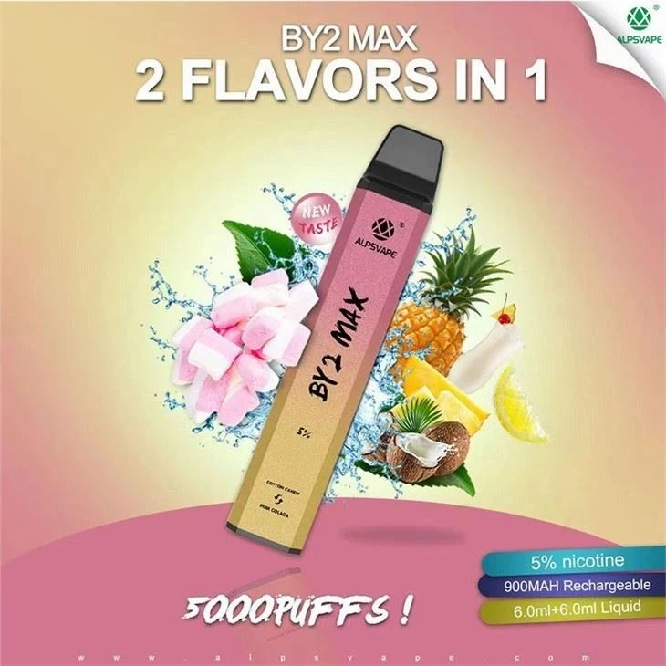 ALPSVAPE BY2 MAX 5000 Electronic Cigarette Vape suppliers