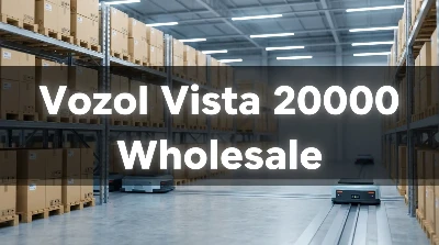 Vozol Vista 20000 Lag luam wholesale & Review