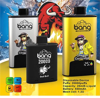 Bang Refillable Vape 20000 Puffs Pov Tseg