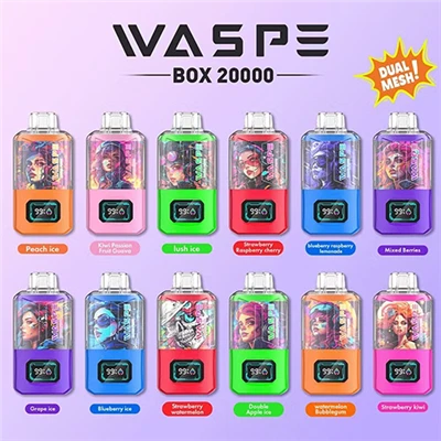 Waspe 20000 Puffs Dual Mesh Box Resposable